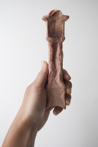 Illustration for article titled Doll House furniture made out of human skin